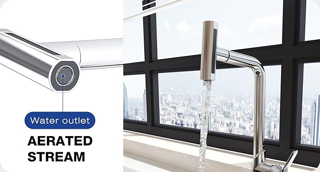 Kitchen Faucet with Pull Down Sprayer