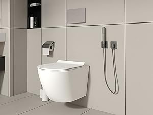 wall mounted toilets