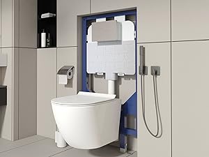 wall mounted toilets