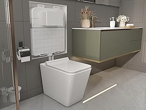 wall mounted toilets
