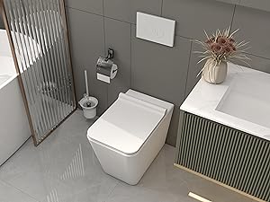wall mounted toilets