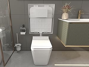 wall mounted toilets