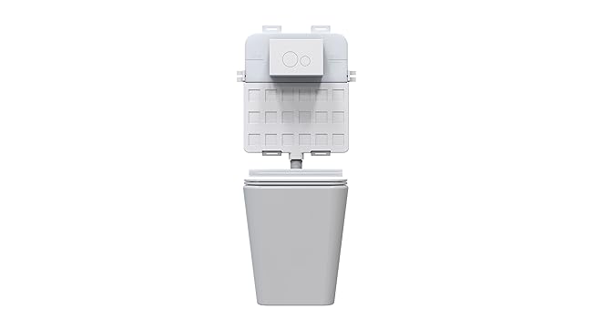 wall mounted toilets