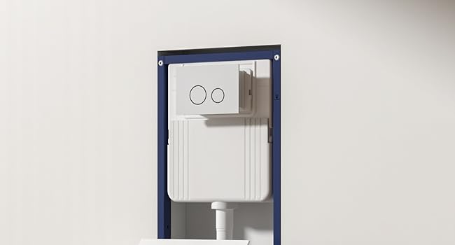 wall hung toilet