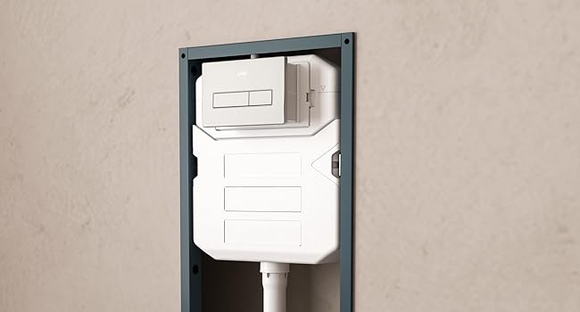 wall hung bidet toilet