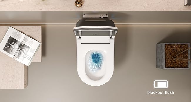 smart toilet