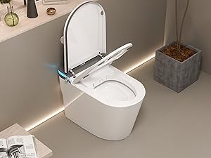 toilet with bidet