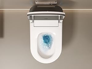 automatic toilet