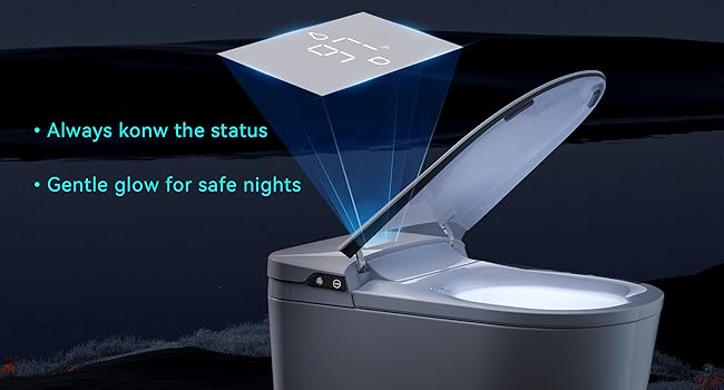 smart toilet