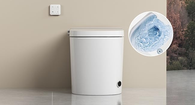 Tankless Smart Toilet