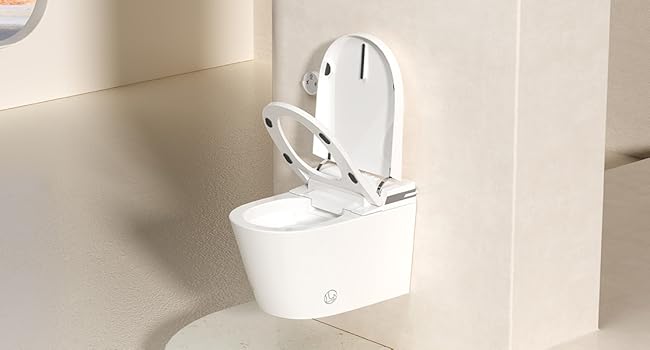 smart toilet