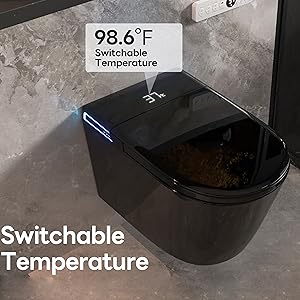 black wall hung toilet
