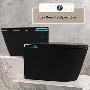 black wall toilet
