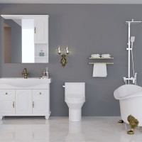 New Fashion Design for Extended Commode Seat - MEJE #T113 -One Piece Elongated Left Side Flush Handle Toilet with Siphonic Flushing System ,Soft Close Seat Cover , White Finish – Meje